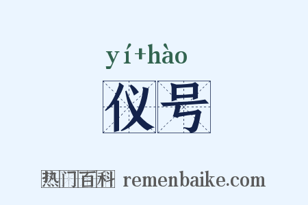 仪号是什么意思的图片